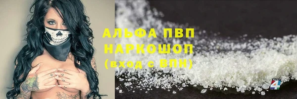 гидра Аркадак