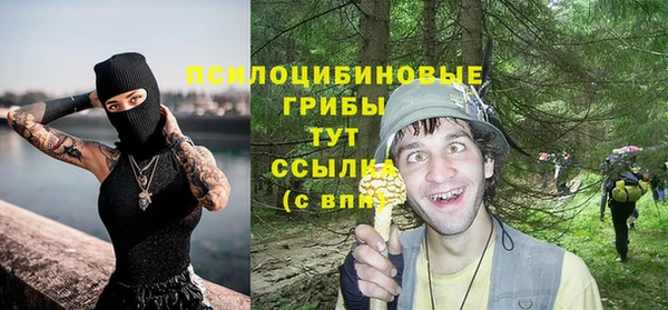 мефедрон Новодвинск