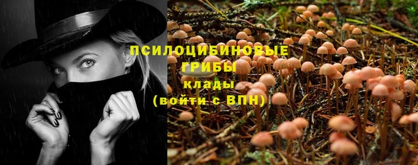 стаф Армянск