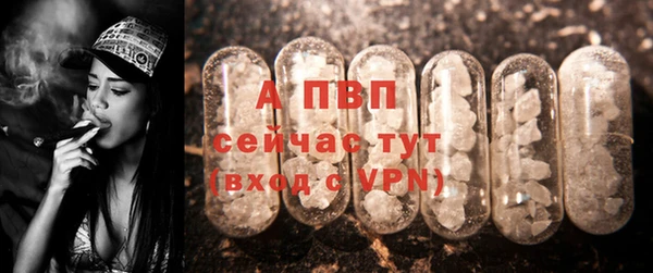 стаф Армянск