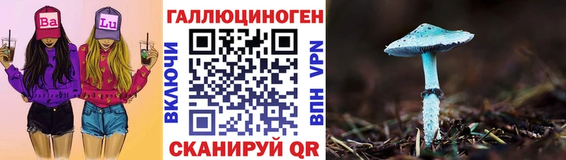 Псилоцибиновые грибы Psilocybine cubensis  Саяногорск 